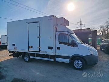 Iveco Daily 50C15 cella frigo pedana idraulica 