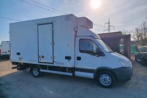 Iveco Daily 50C15 cella frigo pedana idraulica 
