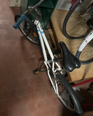 3 biciclette 1 bambino 2 adulto