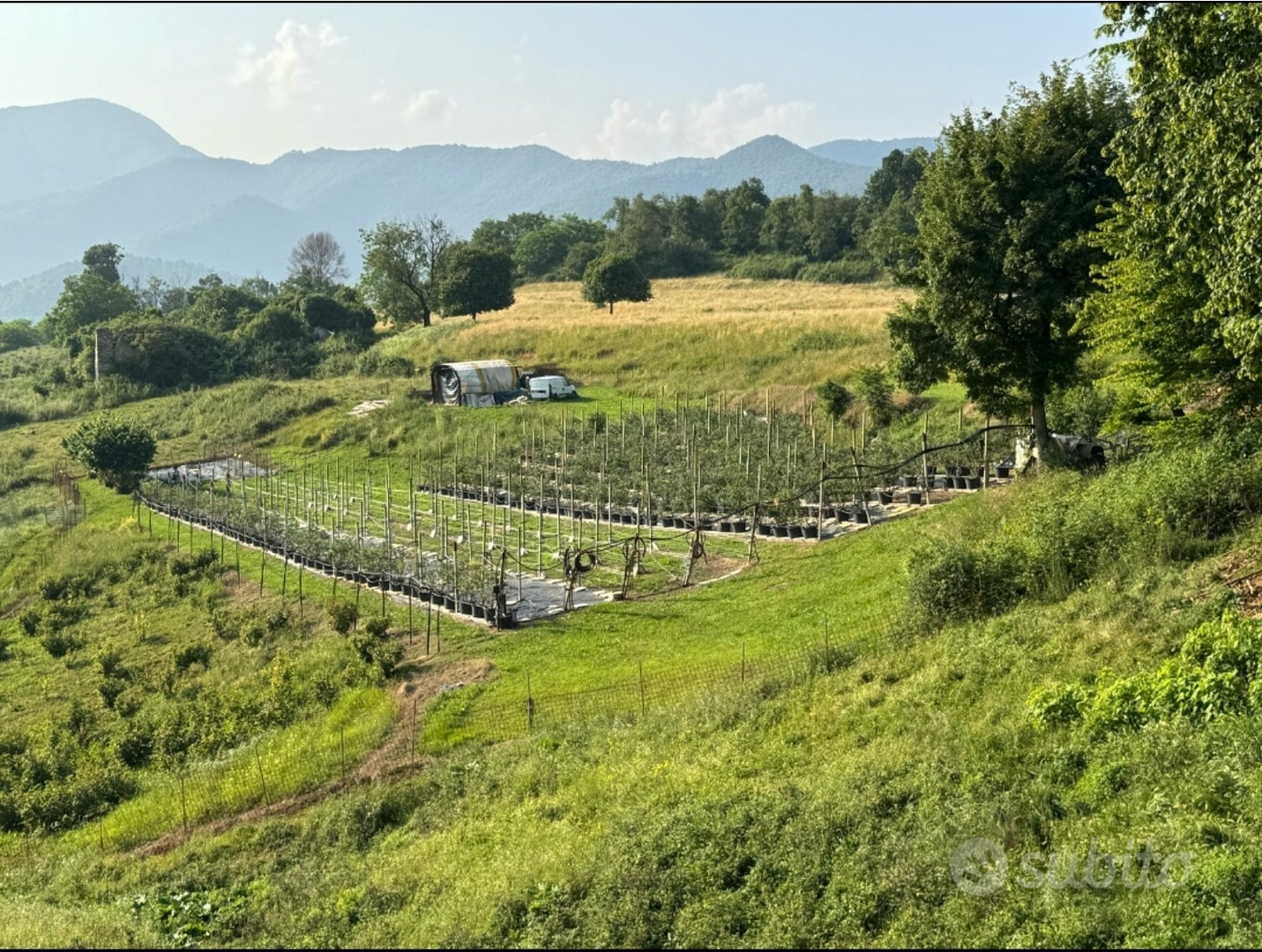 Terreno agricolo a trescore balneario - Vista 3