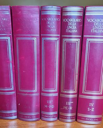 Vocabolario lingua Italiana TRECCANI - 5 volumi
