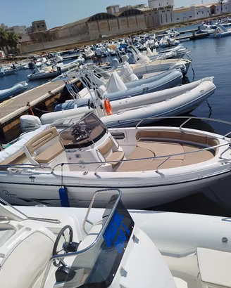 Ranieri Voyager 22 + Fuoribordo Mercury Verado 225