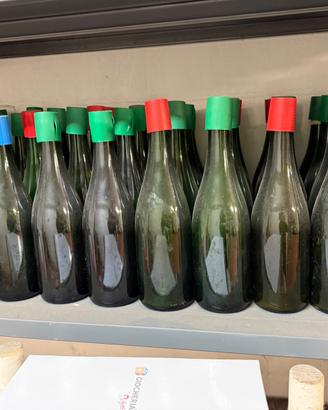 Bottiglie per vino