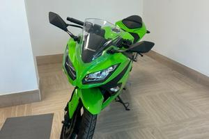 Kawasaki Ninja 300