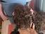 Immagine 4