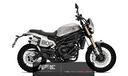 benelli-leoncino-800-trail
