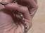 Immagine 4