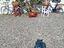Immagine 1