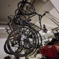 bicicletta