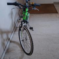 Mountain Bike Lion XMR per ragazzi