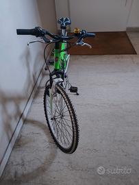 Mountain Bike Lion XMR per ragazzi