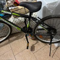 Bicicletta ragazzo