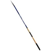 CANNA DA PESCA + PALETTO+REGGICANNA