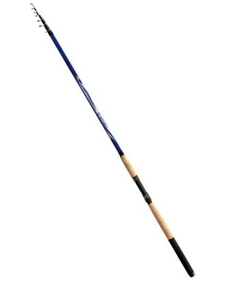 CANNA DA PESCA + PALETTO+REGGICANNA