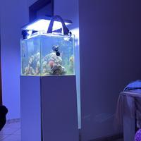 acquario marino 160 litri netti con mobile e sump