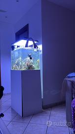 acquario marino 160 litri netti con mobile e sump