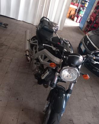 Suzuki sv 1000