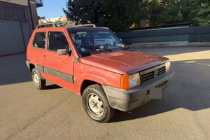 Panda 4 x 4 trekking
