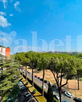 Appartamento Roma [Cod. rif 3336214VRG]