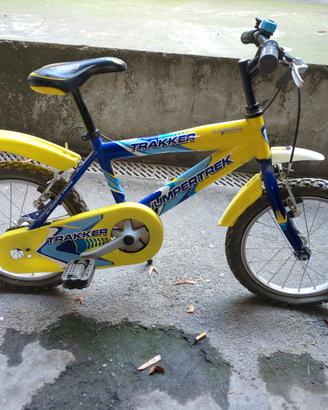 Bicicletta 