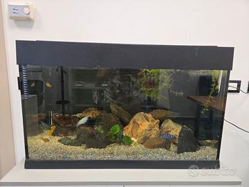 acquario "DUBAI 80"