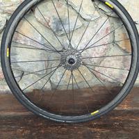 Ruota bicicletta