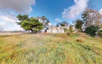 MASSERIA DELL'800 CON 5 ETTARI DI TERRENO CIRCOSTA