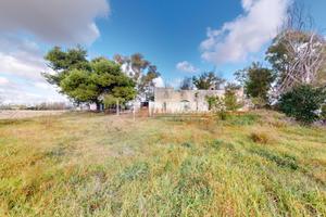 MASSERIA DELL'800 CON 5 ETTARI DI TERRENO CIRCOSTA