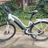 Bicicletta elettrica pedalata assistita