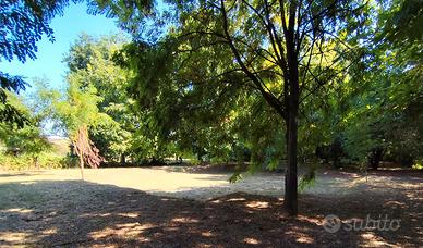Fossò Centro: Ampio Terreno Alberato Edificabile (