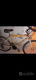 bicicletta da passeggio 