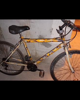 bicicletta da passeggio 
