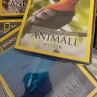 11 DVD National Geographic