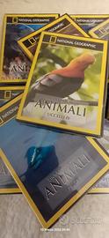 11 DVD National Geographic