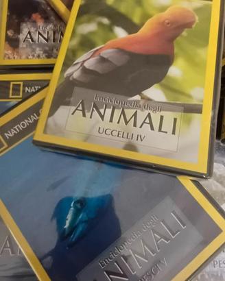 11 DVD National Geographic