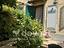 Immagine 10