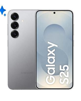 Galaxy S25 5G 12+128GB – Silver Shadow – ENTERPRIS
