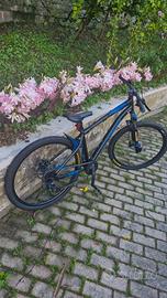 rockrider st120 wheelie/dirt