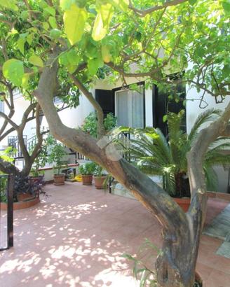 VILLA A SCHIERA A AGROPOLI