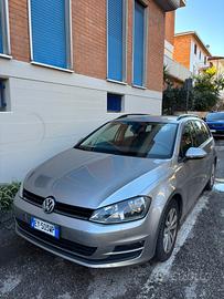 VOLKSWAGEN Golf Variant Business 1.6 TDI 110 CV
