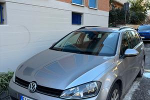 VOLKSWAGEN Golf Variant Business 1.6 TDI 110 CV