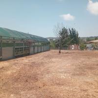 Pianura Via Eleonora Duse Rif.150T