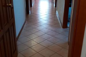Urbino 2 camere singole per studentesse