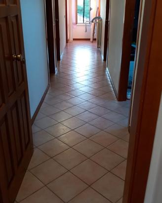 Urbino 2 camere singole per studentesse