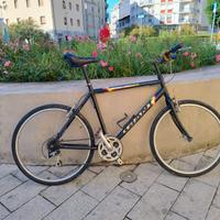 Giant e Marin California REVISIONATE