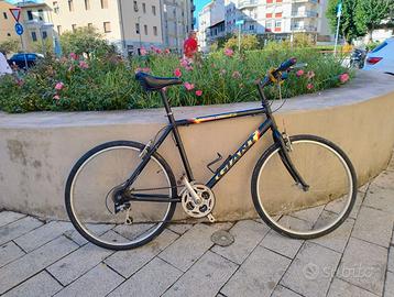 Giant e Marin California REVISIONATE