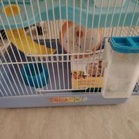 gabbia per criceti