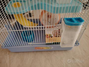 gabbia per criceti