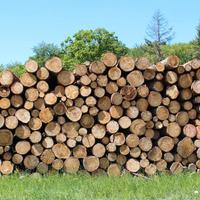 sterco di mucca e di cavallo, legno e bambù