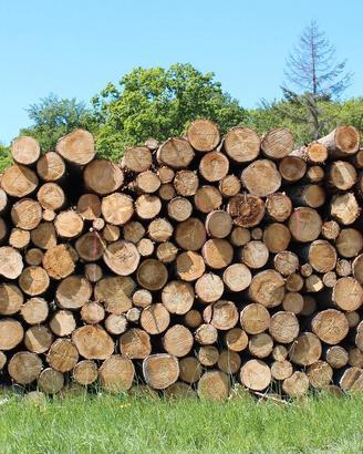 sterco di mucca e di cavallo, legno e bambù